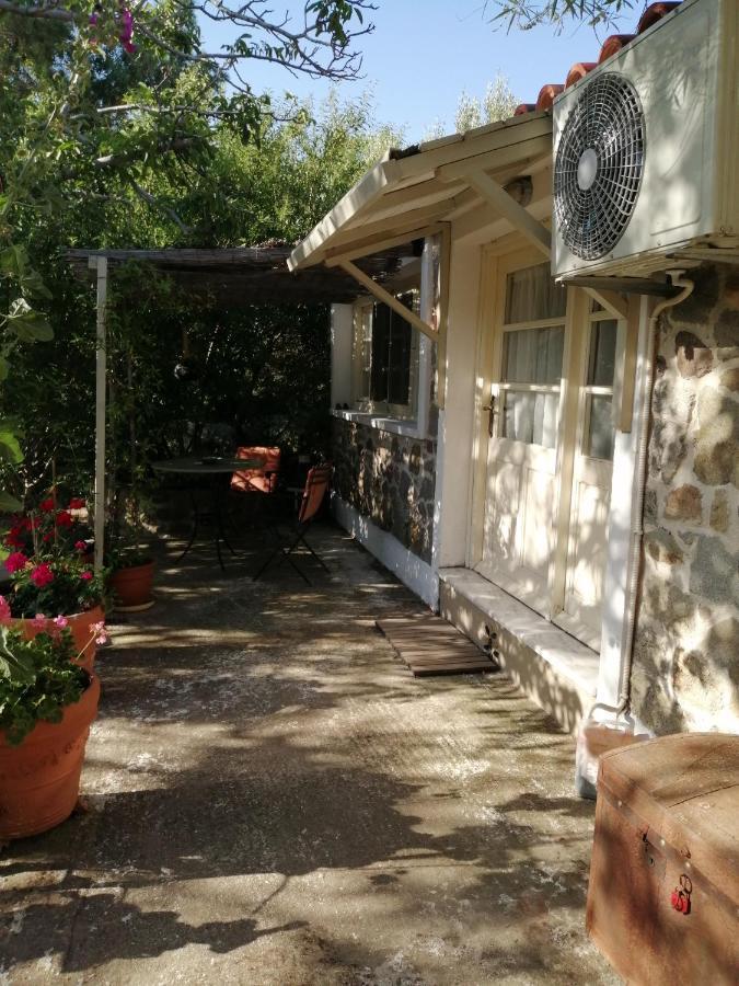 Arcadia Eressos Hotell Exteriör bild